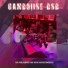 Gamboiise BSB