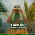 Nicko Real lion