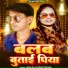Neha Raj, Rohit Diwana