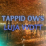Tappid OWS