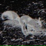 maudlin rust