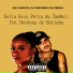 Dj Vinicinho da Penha, Mc Larissa
