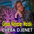 Cheba Djenet