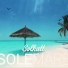 Solkatt