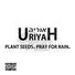 Uriyah
