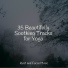 Ambient Music Therapy, Zen, Musique Zen Garden