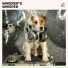 Dog Whisper, Dog Sleep, Dog Music Jukebox
