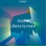 Andre