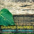 Savaros Savarios