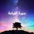 القارئ عادل ريان
