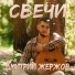 Дмитрий Жержов