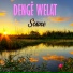 Denge Welat