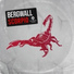 Bergwall