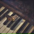 JazzyJazz