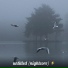 VHS-2