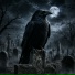 Crow Blues Band