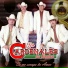Los Cardenales De Sinaloa