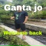 Ganta jo