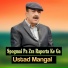 Ustad Mangal