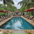 Obzorov