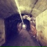 Rox, Skile