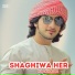Hussain Aseer