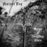 Ancient Fog