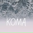 KorVitSer, STARWAVE