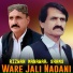 Rizwan Manawar, Shams