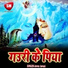 Amit Goswami