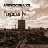Anthracite Cat