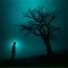 iseethesky, lasttry
