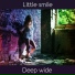Deep wide