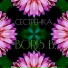 Саня Кац-пробник