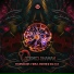 Cosmic Shaman Psy
