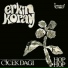 Erkin Koray
