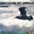VANGELIS - L'Apocalypse Des Animaux (1973)