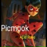 Picmook