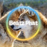 Beatz Phat