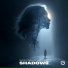 Dmitrii G, TREEMAINE, Bump Flicker