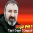 Beşir Pale