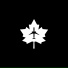 LAIVIQ