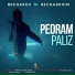 Pedram Paliz