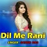 Satish Das