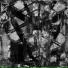 Sectra, Trisicloplox