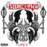 Asylum Gates