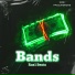 Ras1 BEATS