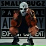 Small Bugz