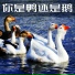 DJxiaoke