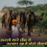 Bhoma Ram Panvar Sindhari